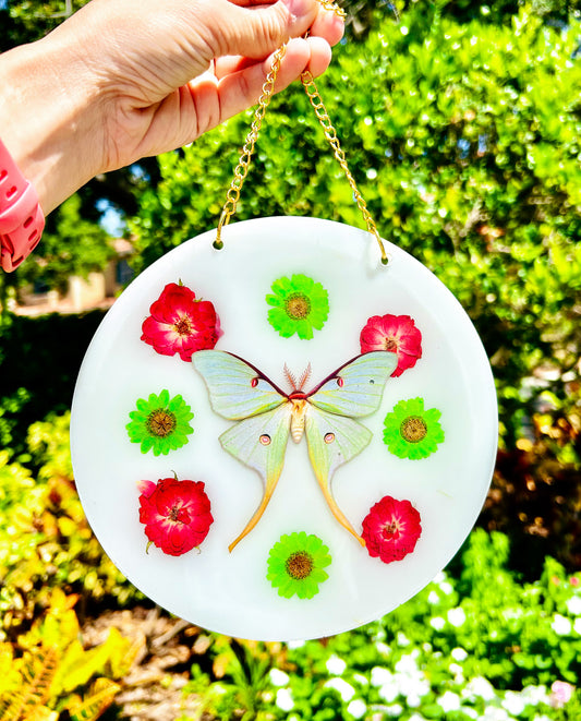 Milky Lunar Moth Wall Hanging