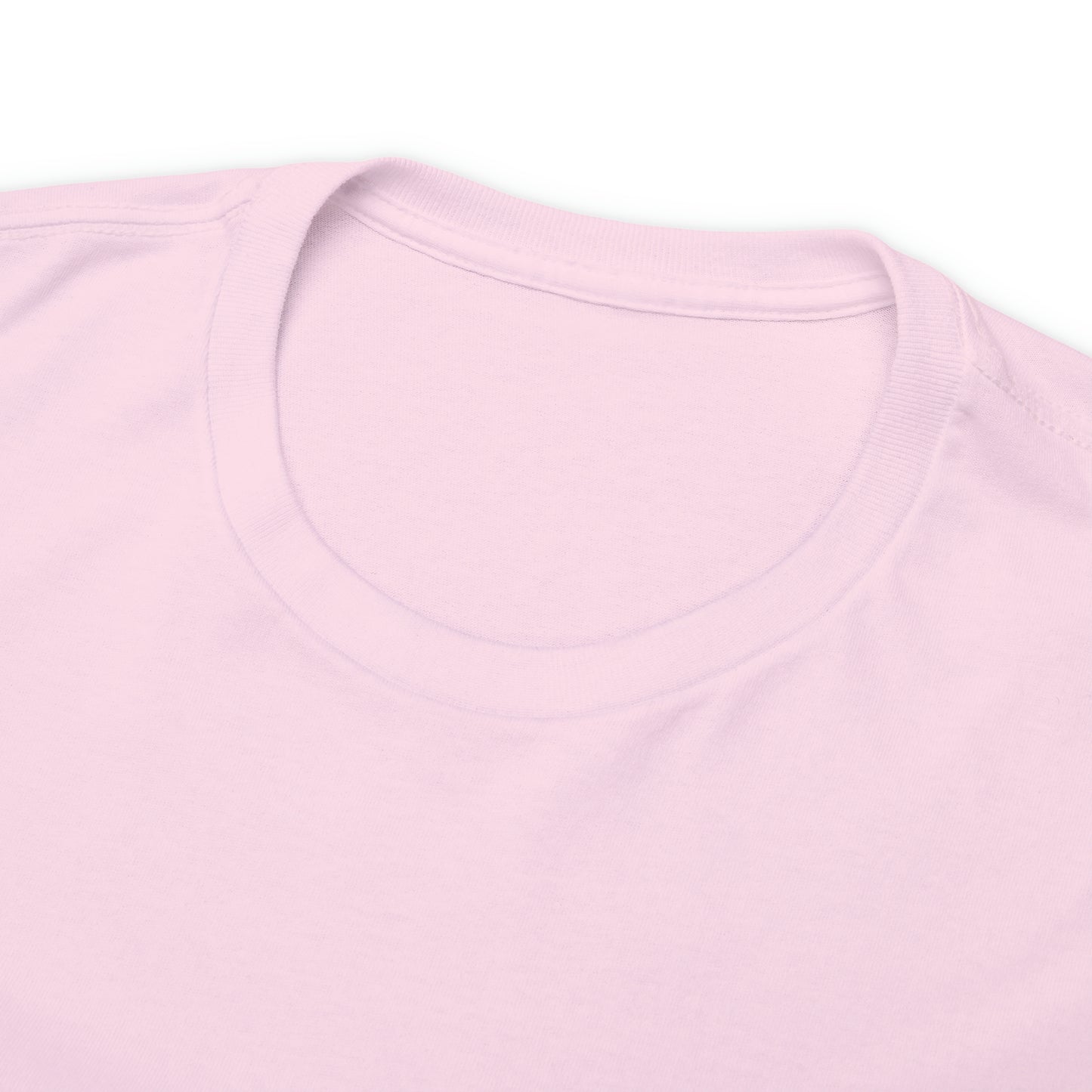 Heatherskiesss Fairy Tee Shirt