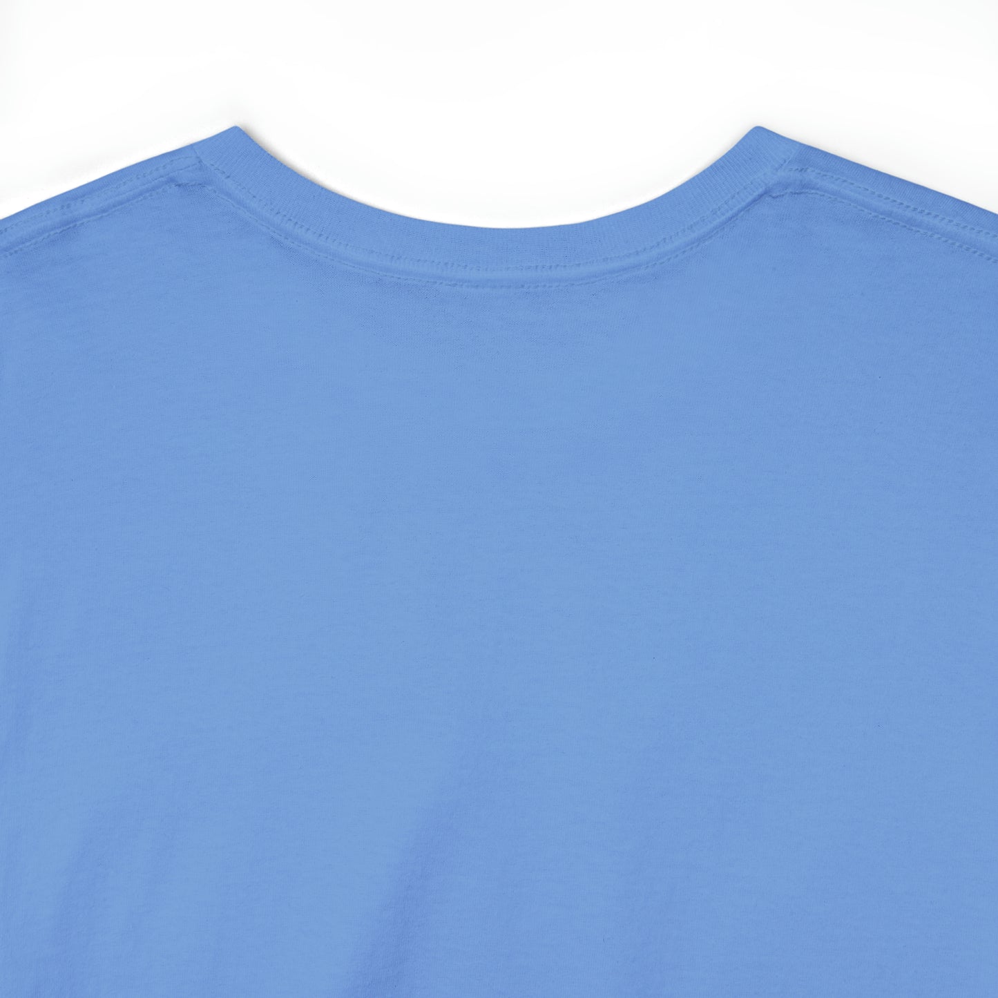 Heatherskiesss Fairy Tee Shirt