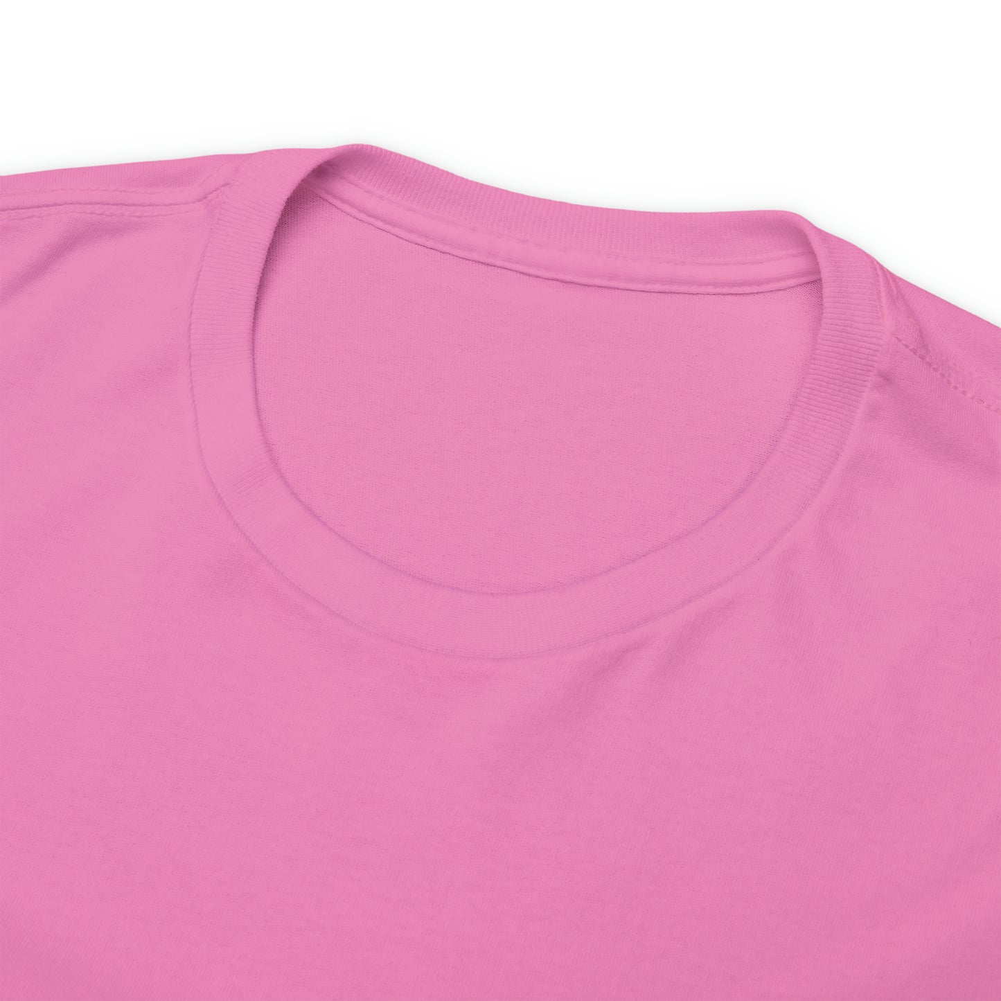 Heatherskiesss Fairy Tee Shirt