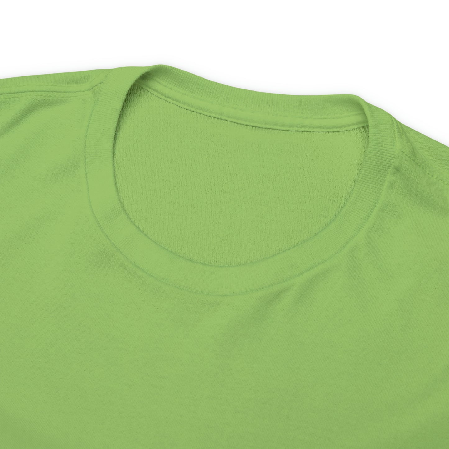 Heatherskiesss Fairy Tee Shirt