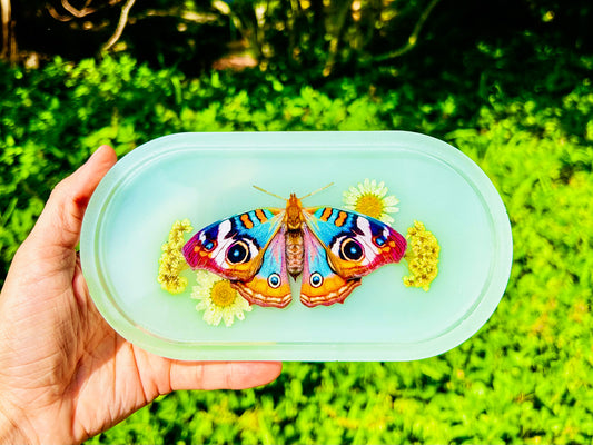 "Butterfly Dreaming " Blue Buckeye Tray
