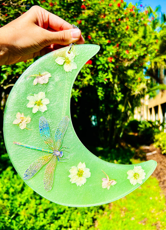 " Dragonfly Dreams " Holo Dragonfly Crescent Moon Wall Hanging