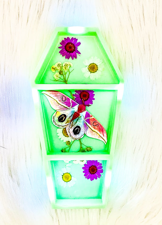 Strawberry Field Dognins Bullseye LED Coffin Shelf