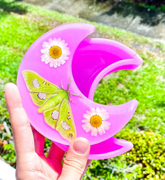" Moonlight Queen Moth " Crescent Moon Jewelry Box