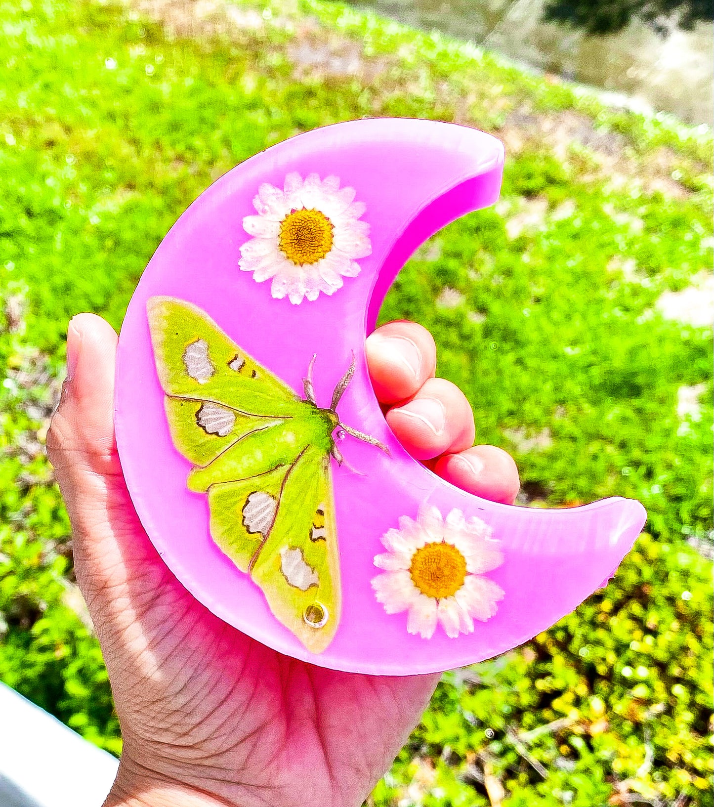 " Moonlight Queen Moth " Crescent Moon Jewelry Box