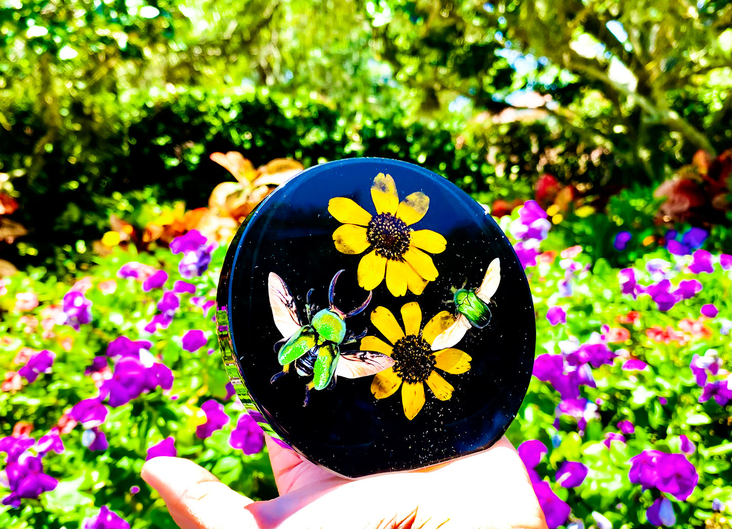 Holographic Beetle Free Form