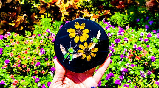 Holographic Beetle Free Form