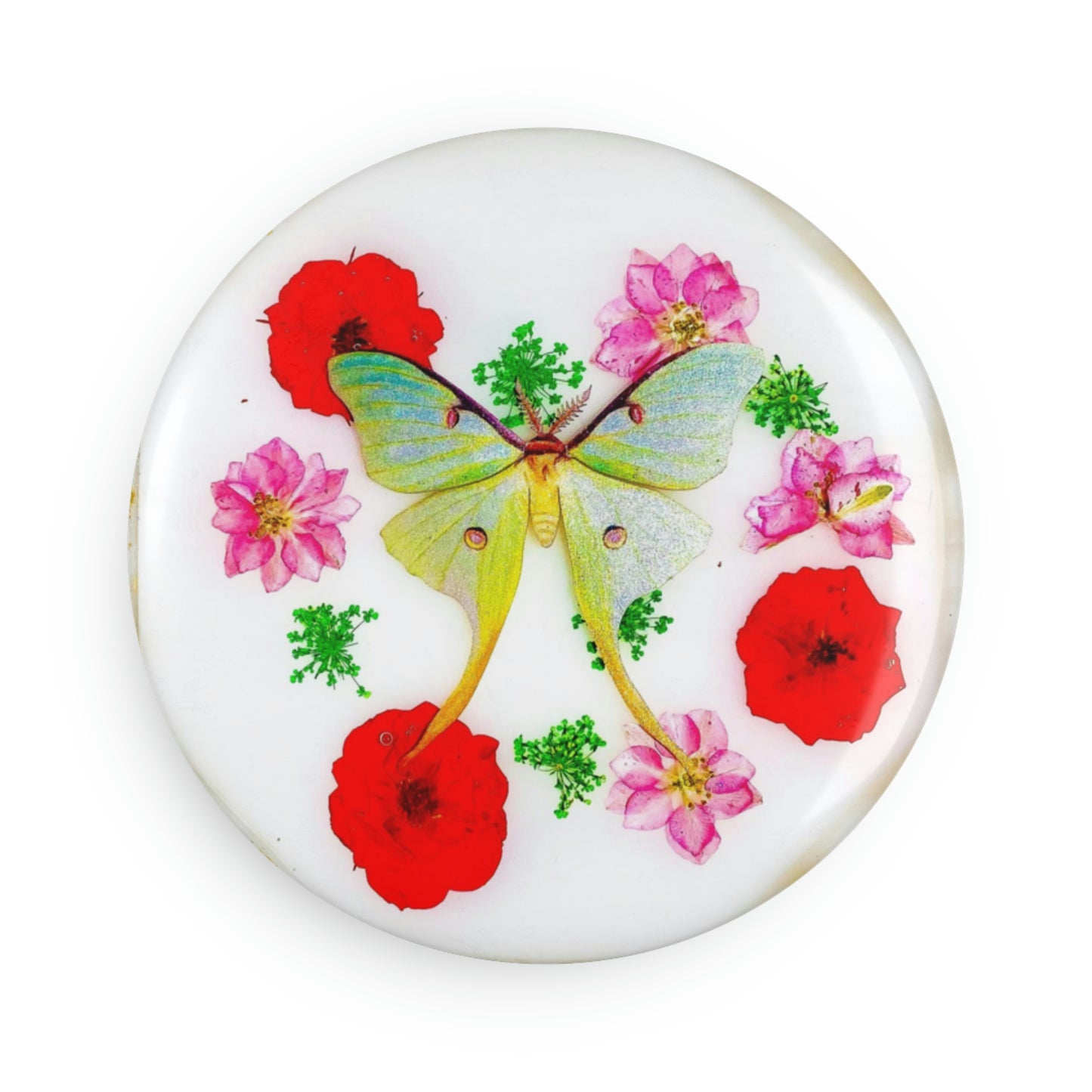 Lunar Moth Magnet