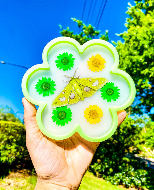 Moonlight Queen Moth Flower Tray