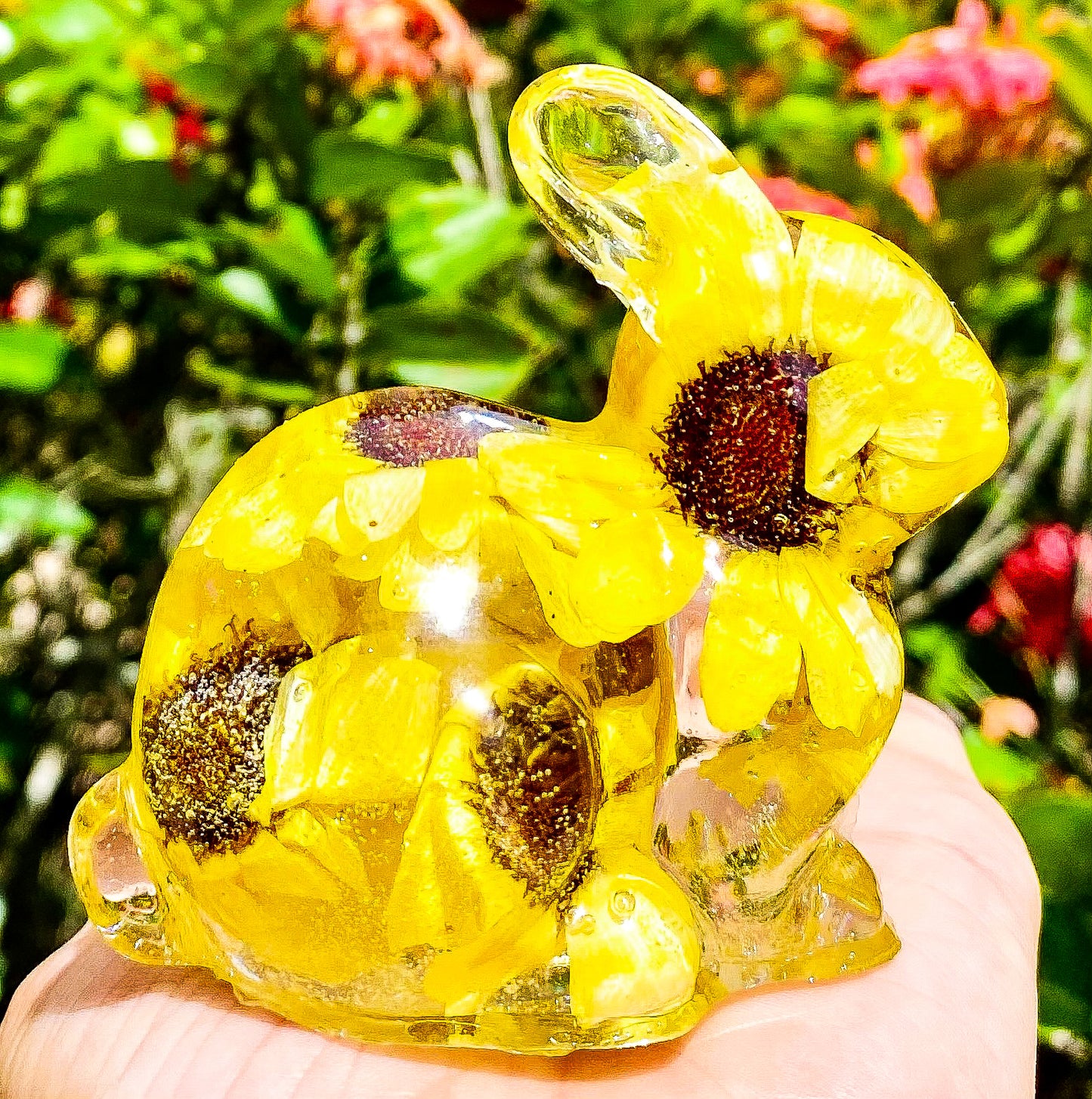 Sunflower Bunny