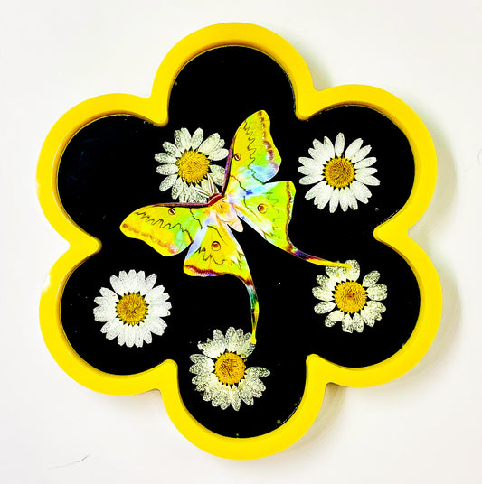 Holographic " South China Moon Moth " Flower Tray