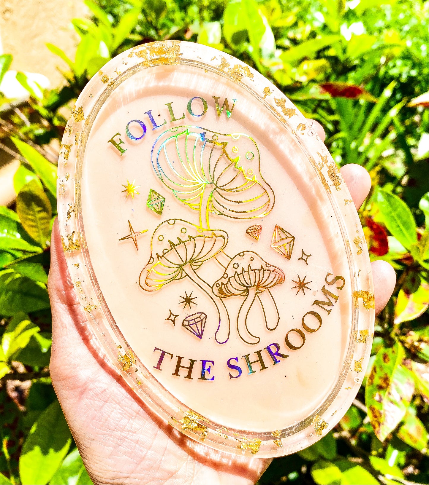 " Follow the Shrooms " Jewelry Tray