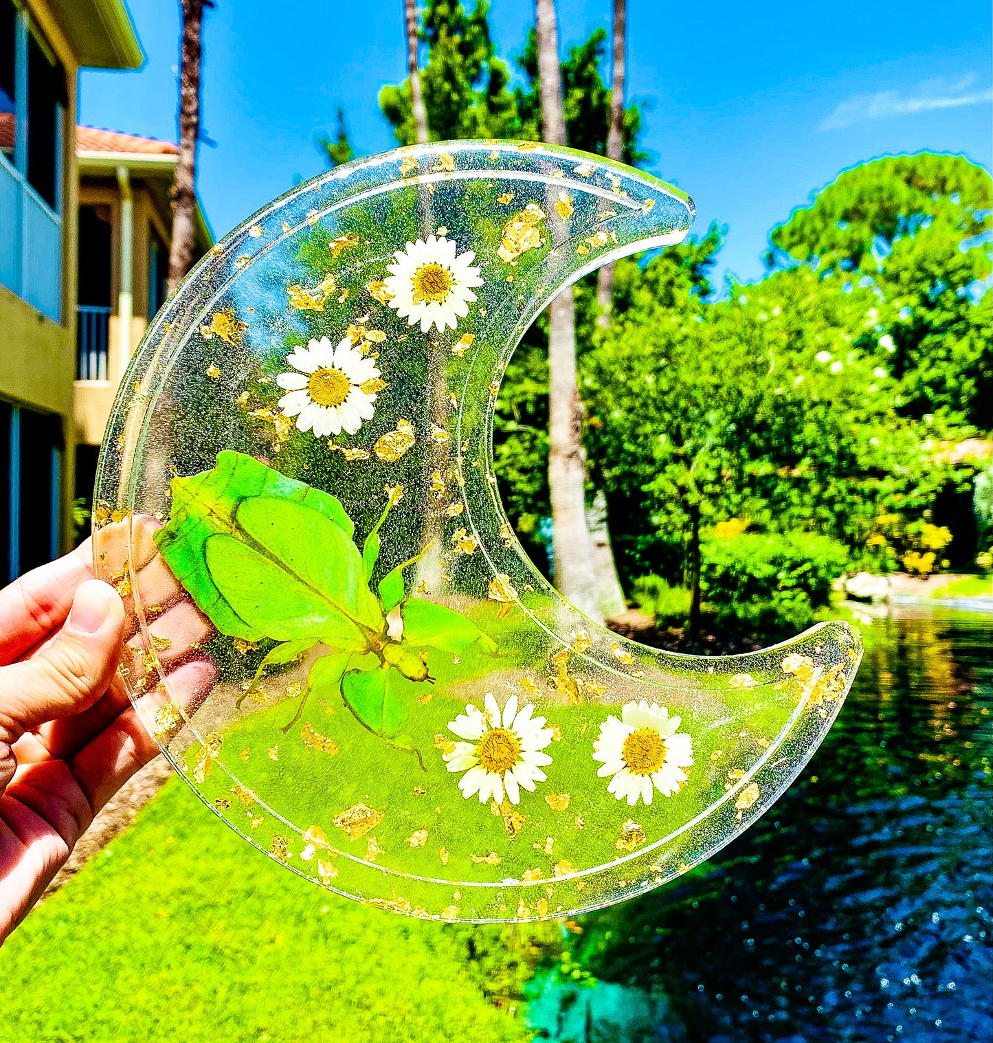 Golden Leaf Insect Crescent Moon Tray