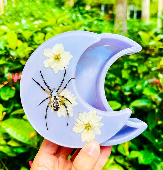 Garden Spider Crescent Moon Jewelry Box