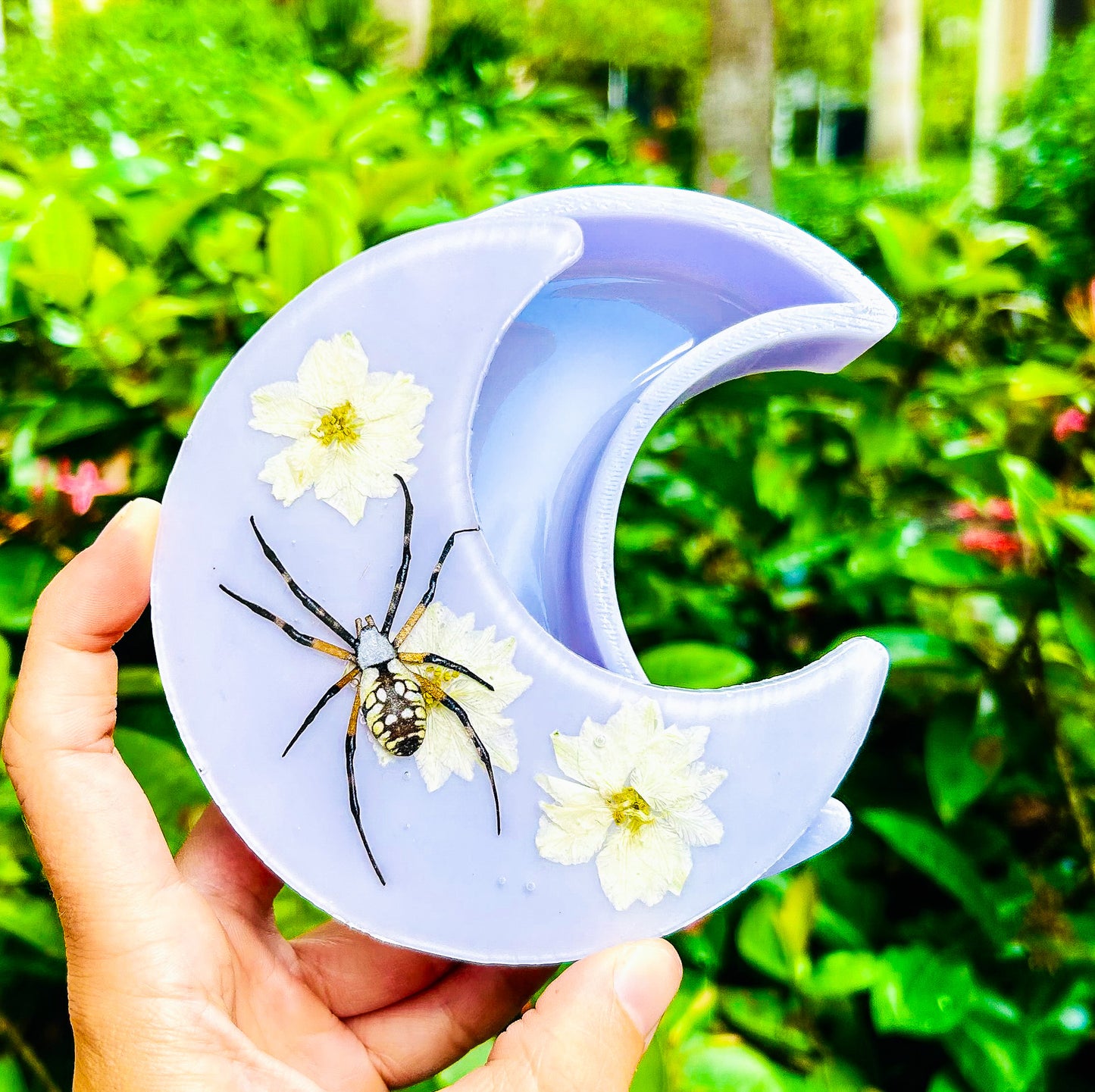 Garden Spider Crescent Moon Jewelry Box