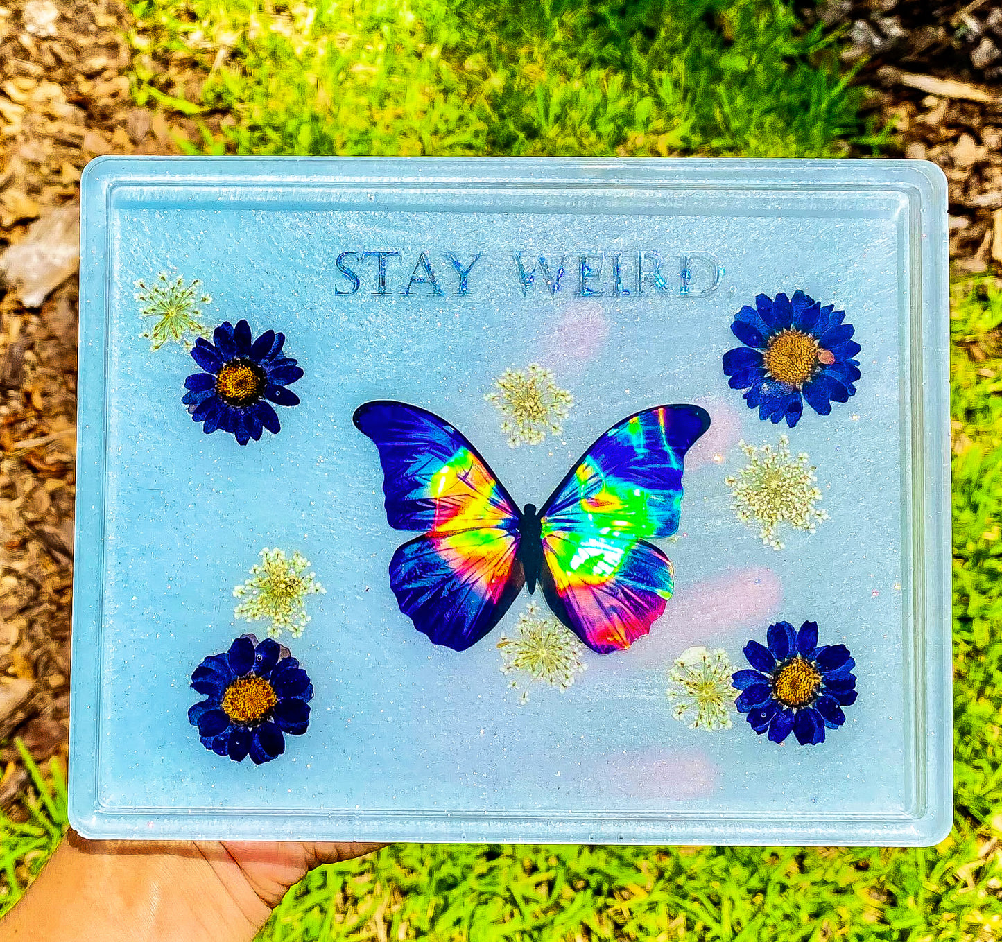 " Stay Weird " Holo Blue Morpho Rolling Tray