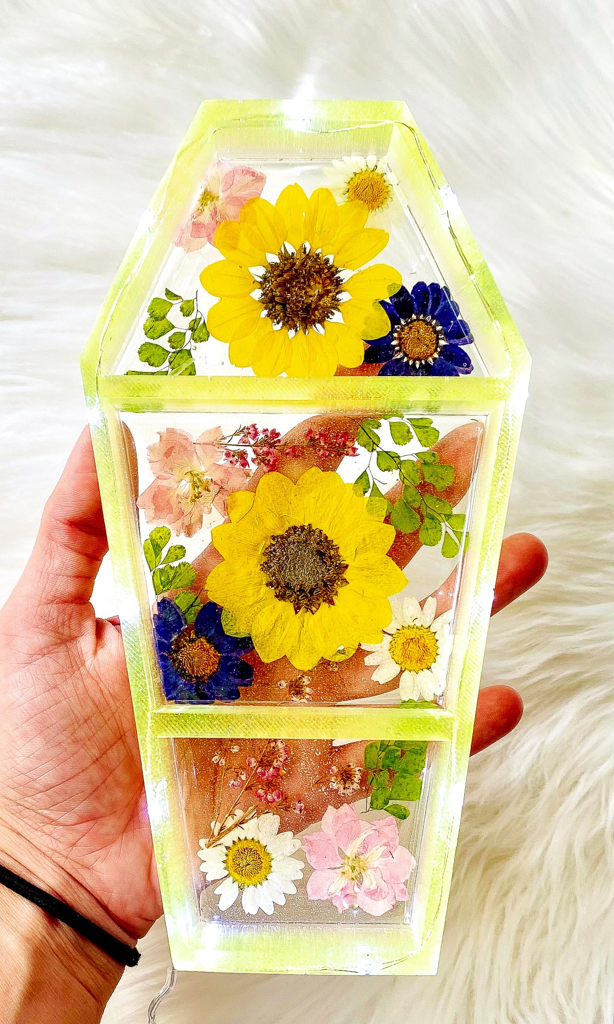 LED Sunflower Coffin Shelf