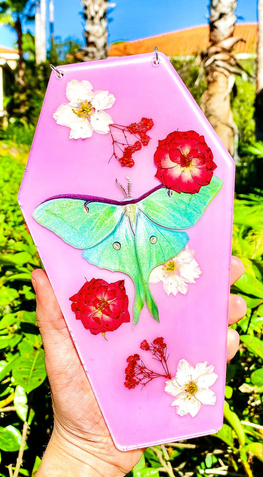 “ Love Song “ Lunar Moth Coffin Wall Hanging