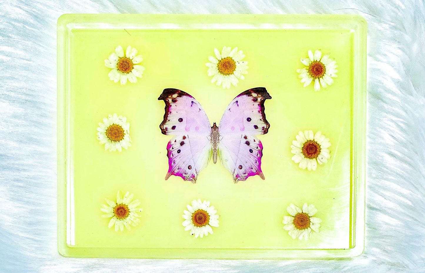 Lilac Lemonade Butterfly Rolling Tray